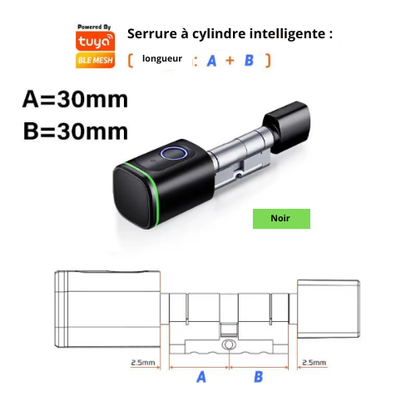 Cylindre de serrure intelligent Bluetooth Tuya – Empreinte digitale, carte IC 13.56MHz, pile CR123A, installation facile