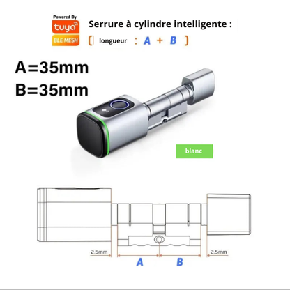 Cylindre de serrure intelligent Bluetooth Tuya – Empreinte digitale, carte IC 13.56MHz, pile CR123A, installation facile