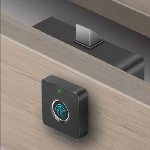 Smart Biometric Cabinet Lock, Black Keyless Fingerprint Lock Anti-Theft for Doors and Drawers