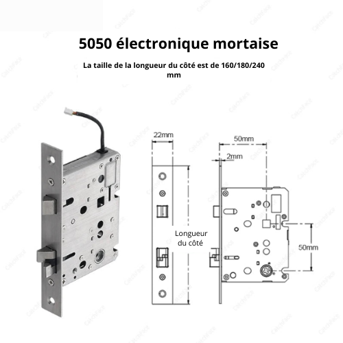 Serrure intelligente biométrique WiFi Tuya – Déverrouillage par empreinte digitale et contrôle à distance