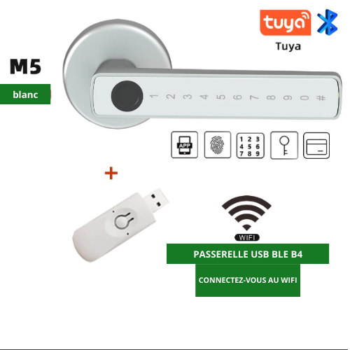 Tuya BLE Fingerprint Door Lock - Digital Unlock with Password, Key, Card, Smartlife/Tuya APP