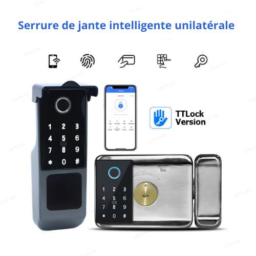 Serrure intelligente WiFi TTLock – Accès par empreinte digitale, code, carte RFID et étanchéité