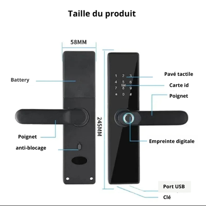 Serrure intelligente Tuya – Entrée sans clé, biométrique et contrôle à distance