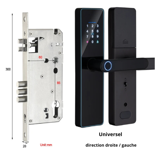 IP65 Waterproof Digital Smart Lock WiFi Compatible for Front Door, Keyless with Handle