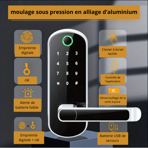 Serrure de porte intelligente étanche IP67 – Empreinte digitale, WiFi, écran tactile NFC et 2 cartes IC