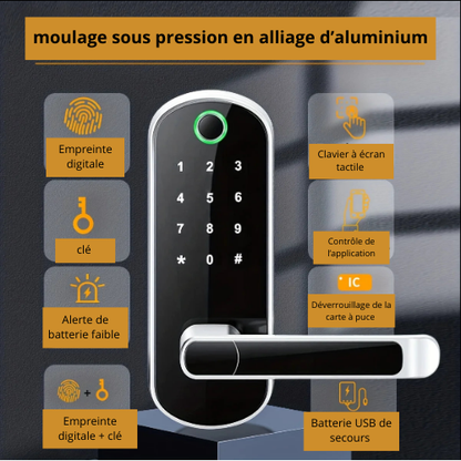 IP67 Waterproof Smart Door Lock with Fingerprint, WiFi Remote Control, NFC Touch Screen and 2 IC Cards