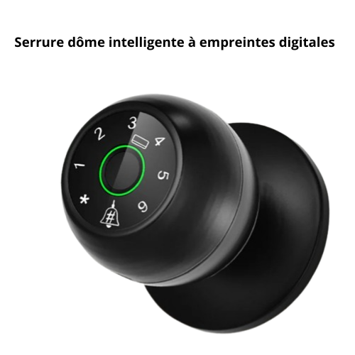 Serrure intelligente biométrique Tuya – Ouverture par empreinte digitale et contrôle connecté