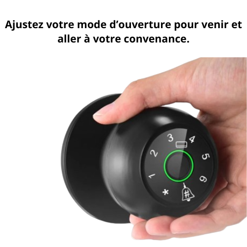 Serrure intelligente biométrique Tuya – Ouverture par empreinte digitale et contrôle connecté